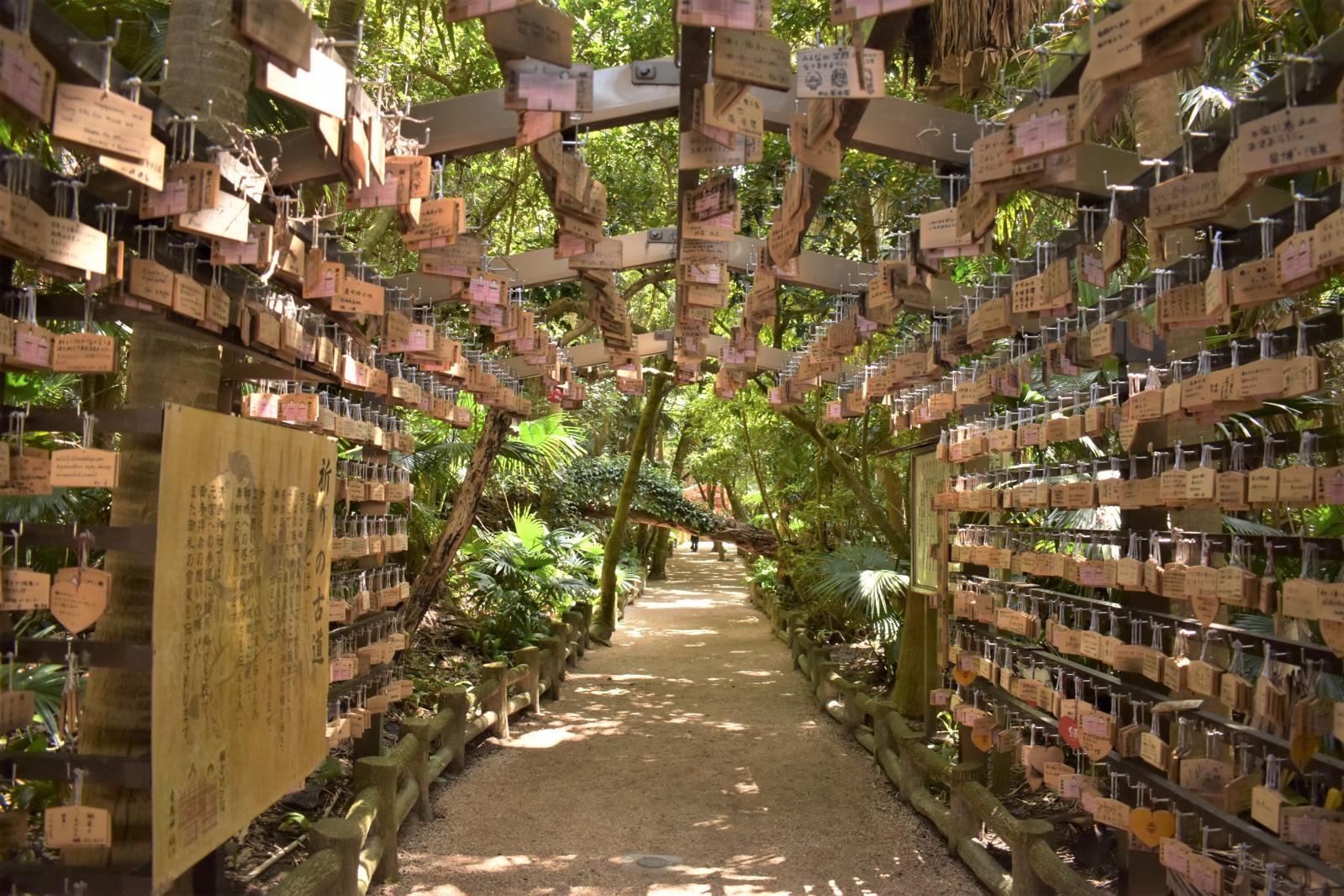 おすすめスポット⑥青島神社-3