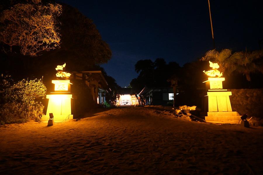 Aoshima Night Light Up
～青島　ナイト　ライトアップ～-0