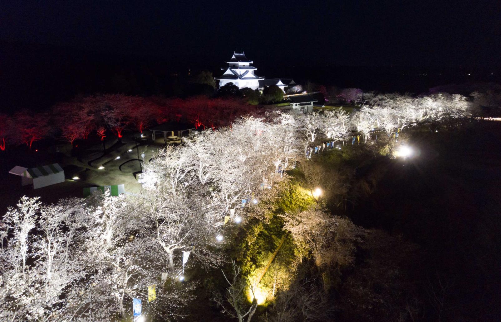 天ヶ城公園-2