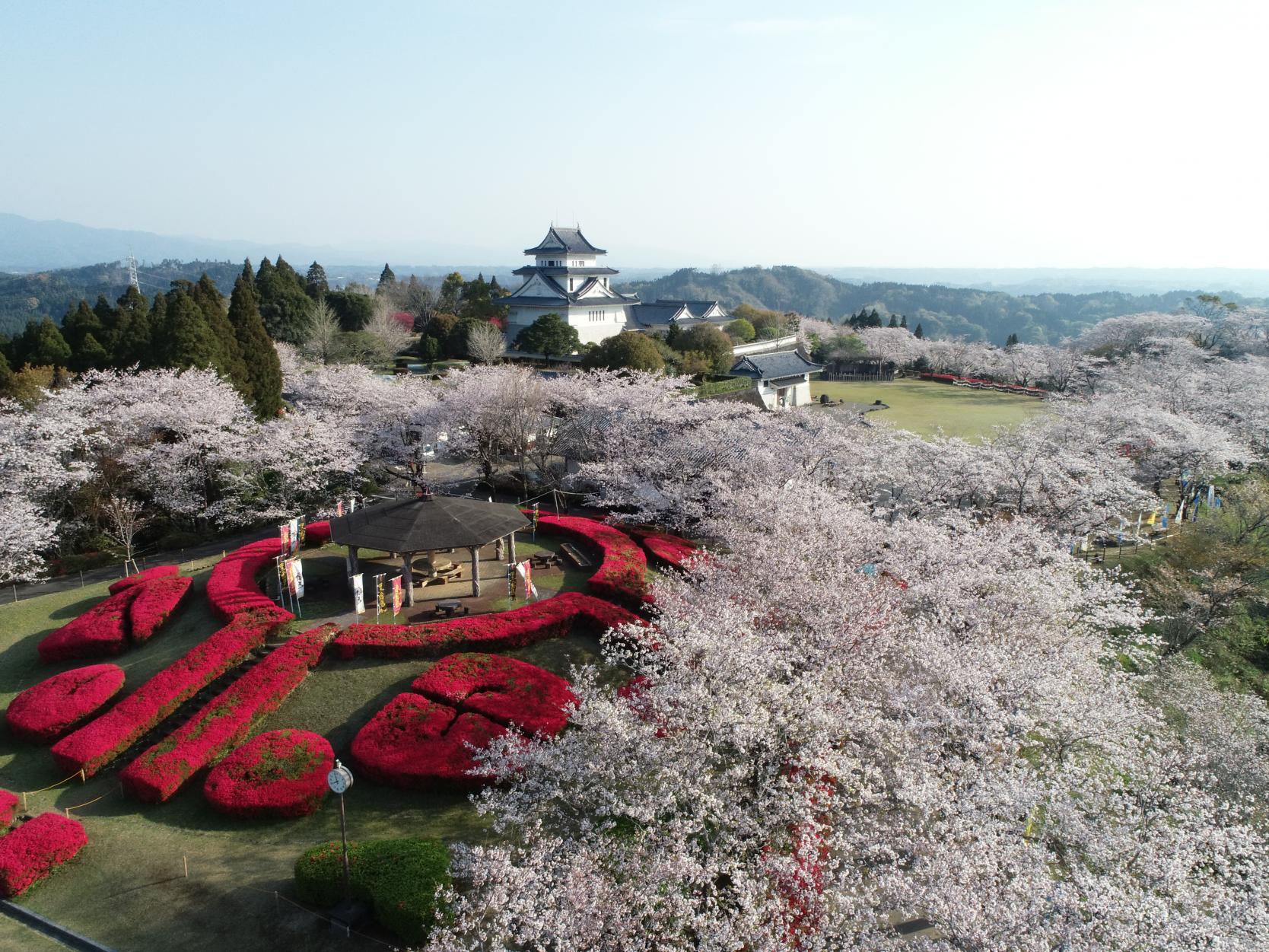 天ヶ城公園-1