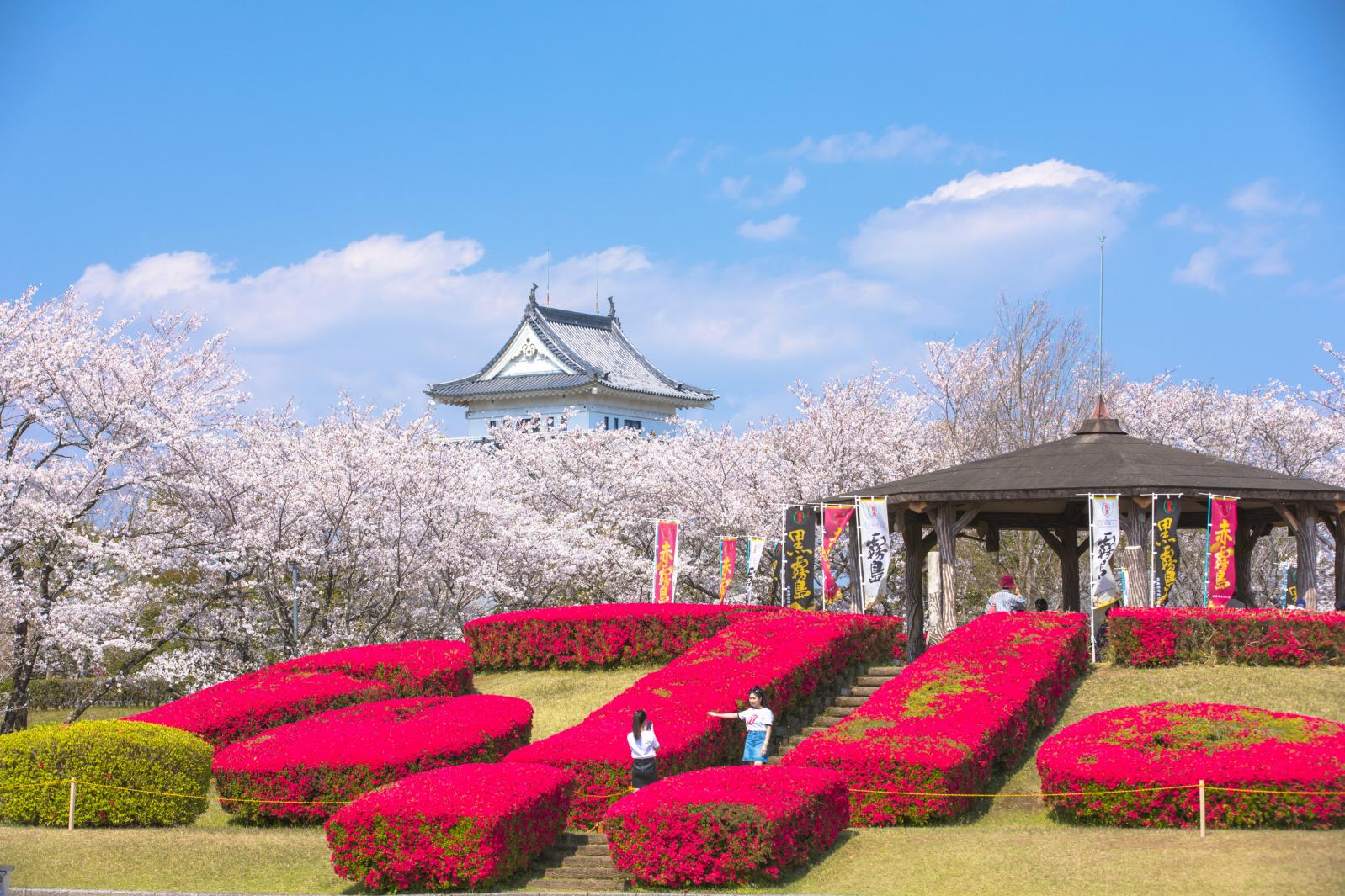 天ヶ城公園-0