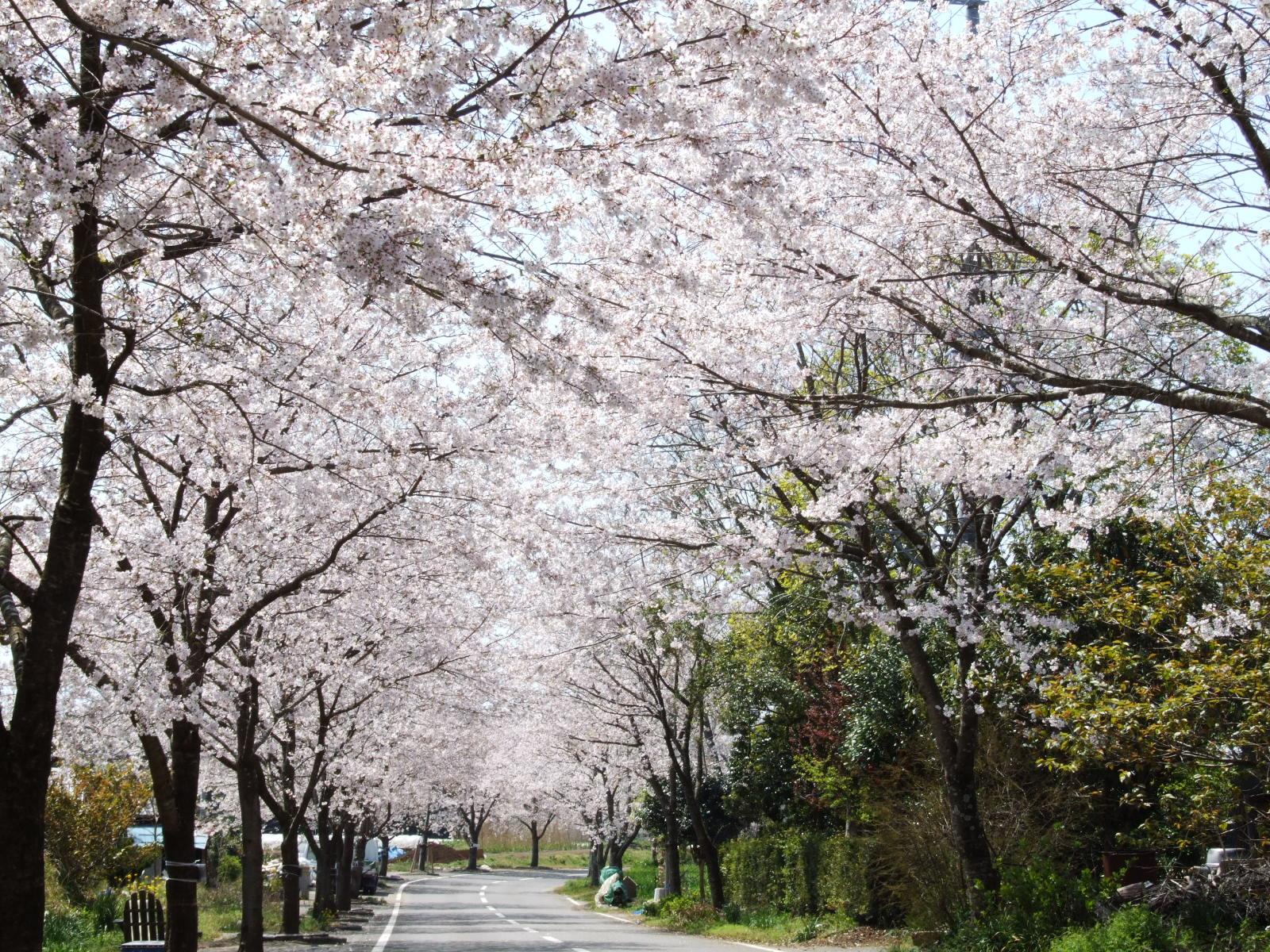 垂水公園-0