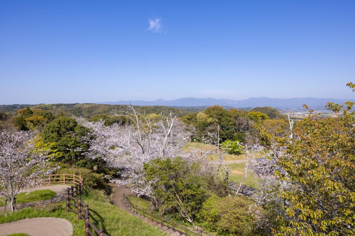 宝塔山公園-0