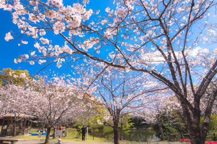 天神山公園-0