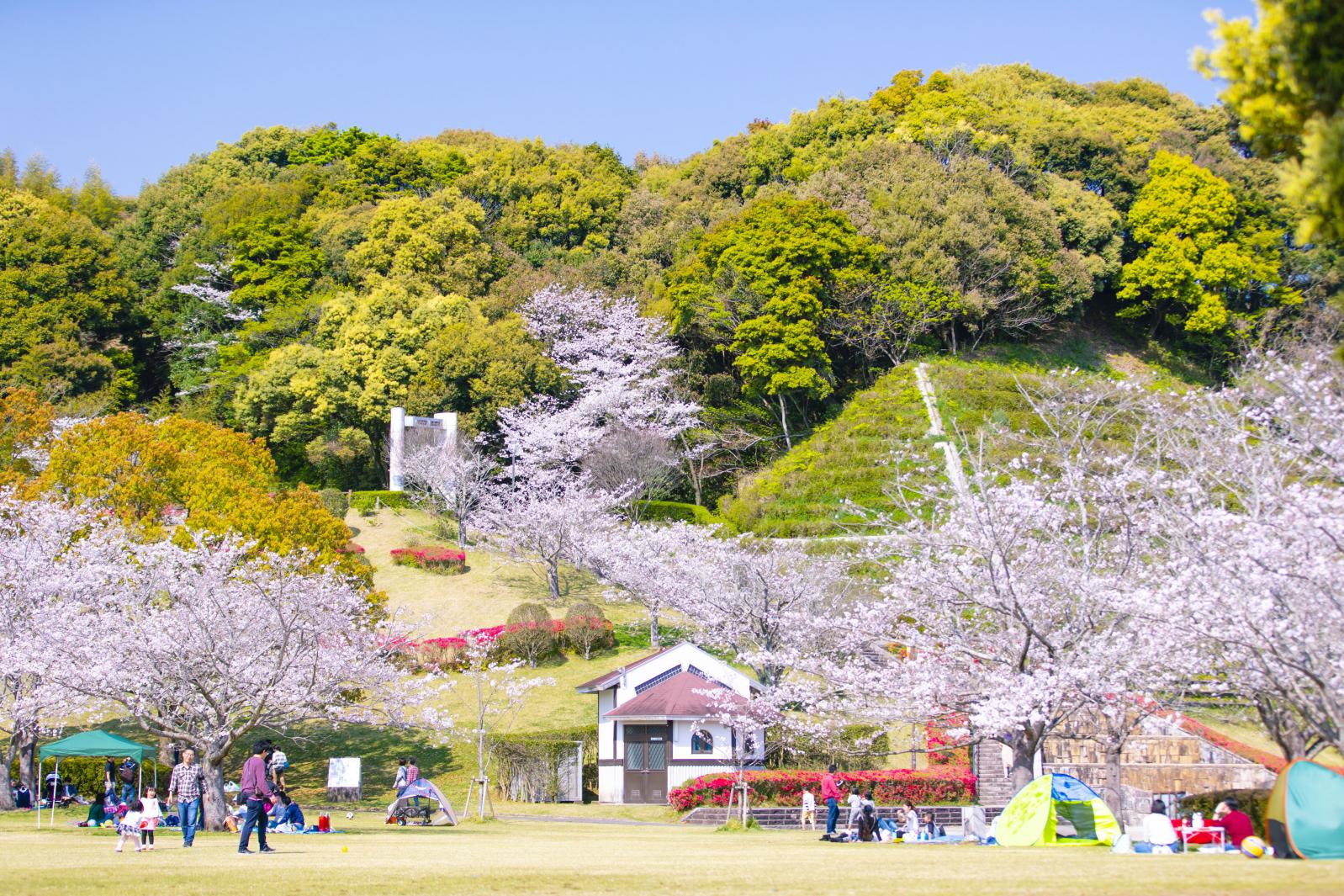 久峰公園-0