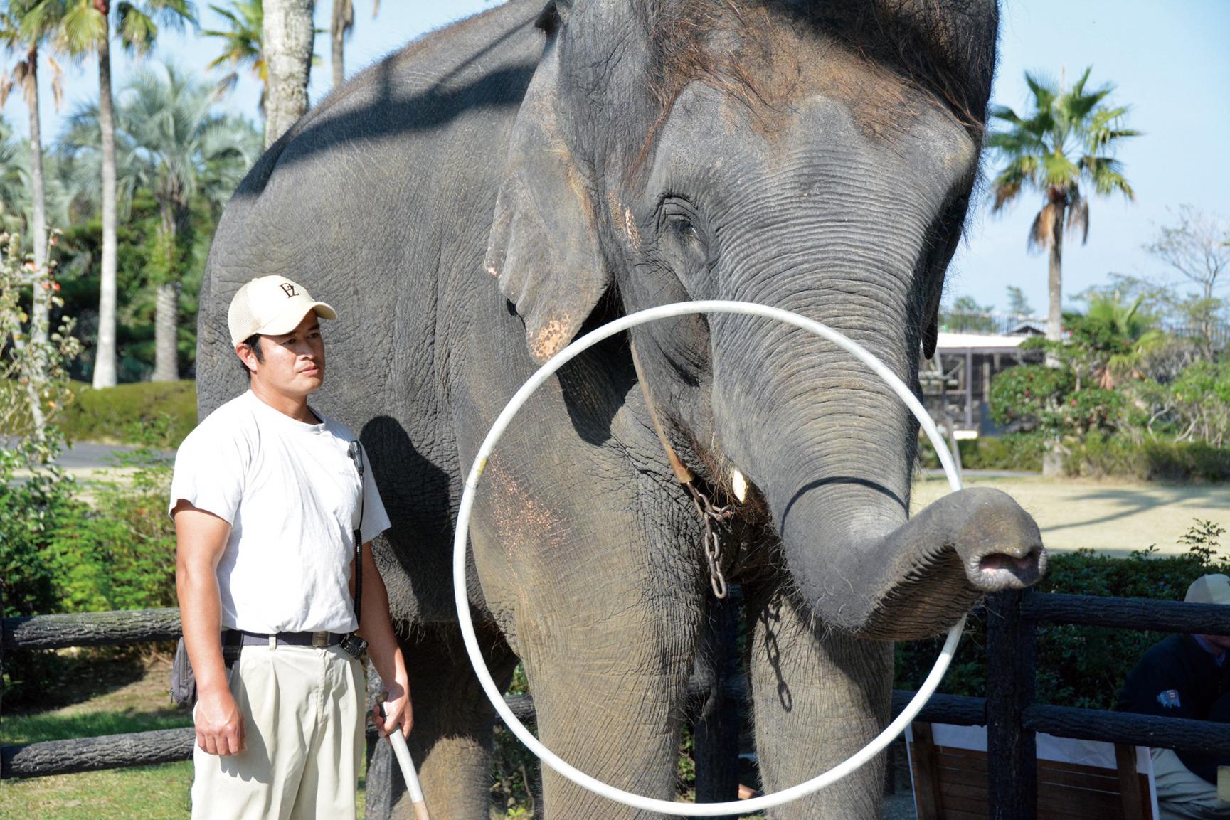 宮崎市フェニックス自然動物園-0