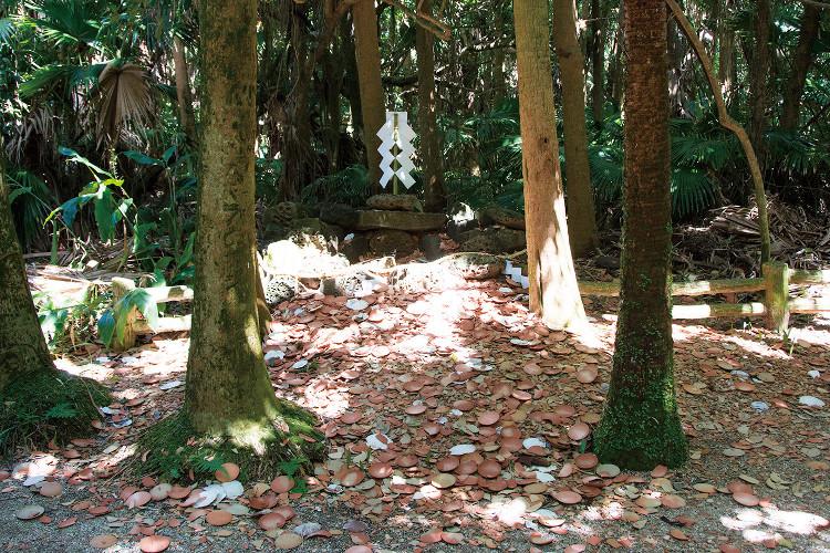 青島神社-1