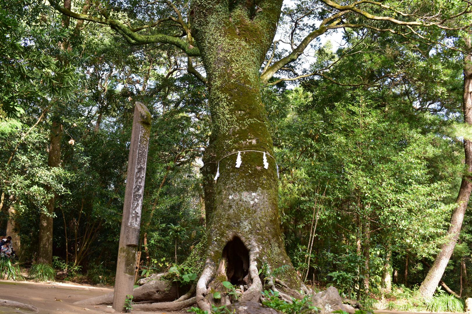 江田神社-1