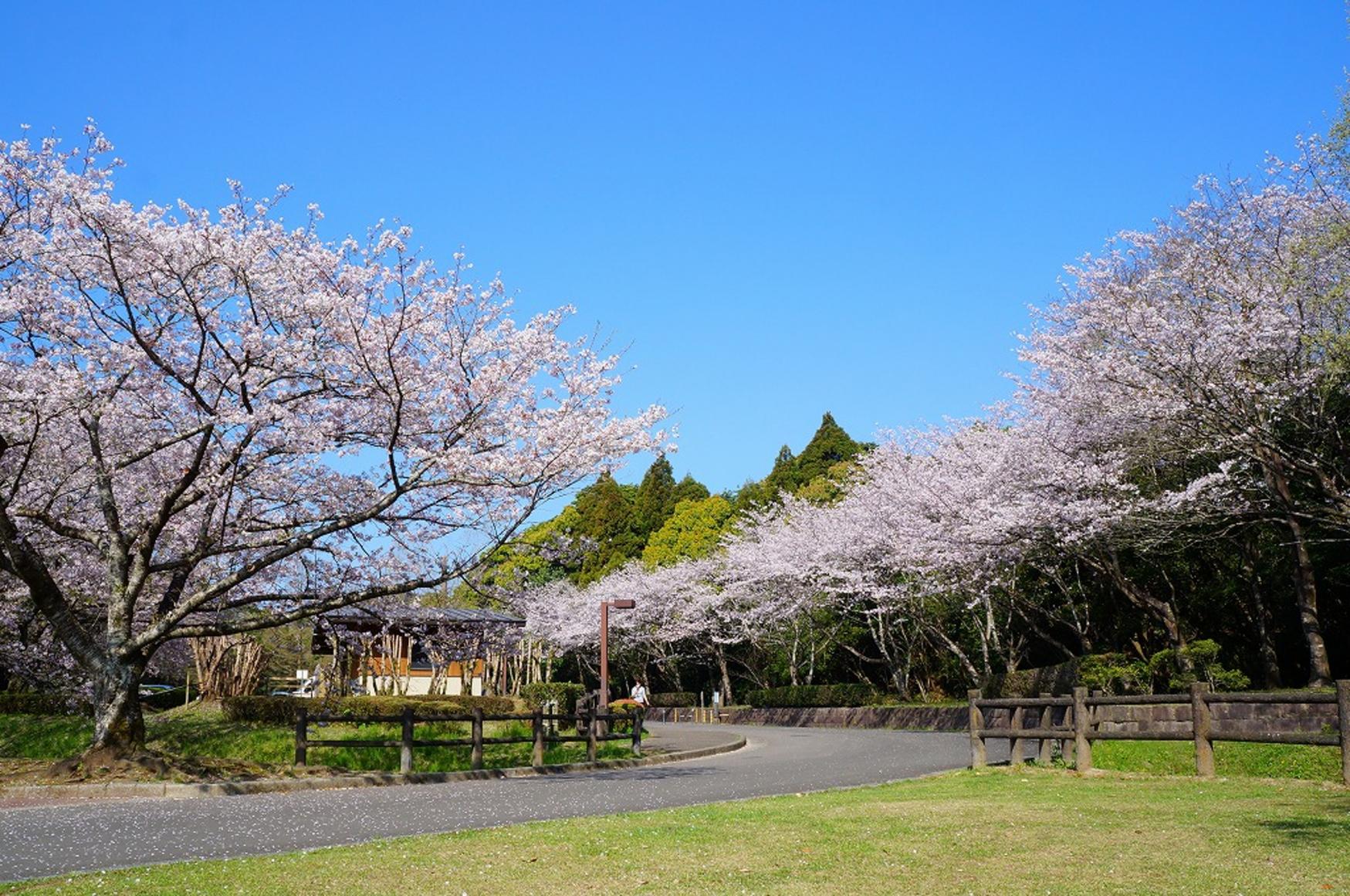 平和台公園-3