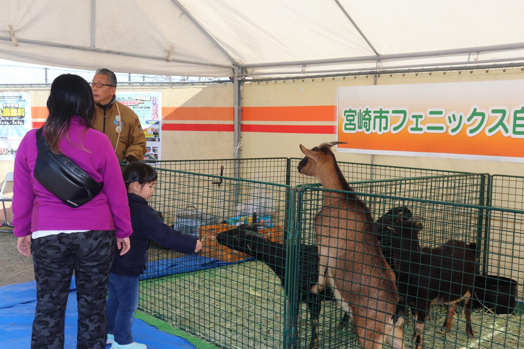 ホークスキャンプ地イベント情報-2