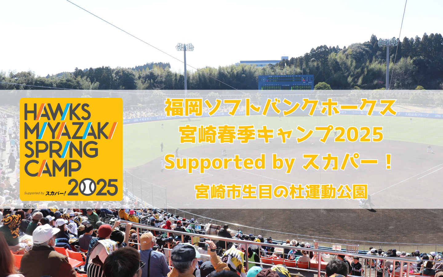 福岡ソフトバンクホークス宮崎春季キャンプ2025-1