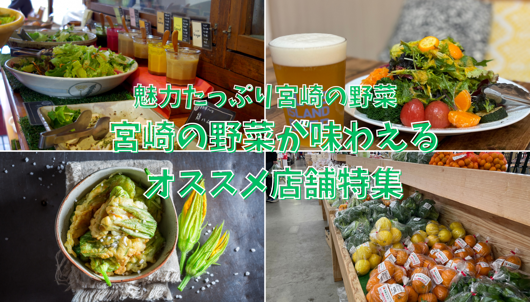 宮崎の野菜はすごい！宮崎の野菜が味わえるオススメ店舗やグルメご紹介！-1
