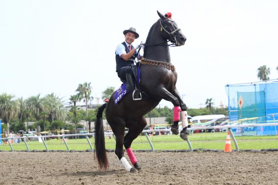 （終了しました）第33回馬に親しむ日-3